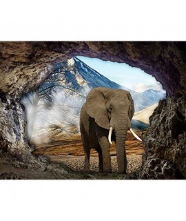 5D Diamantová mozaika - Elephant