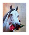 5D Diamantová mozaika - Kôň s ružou