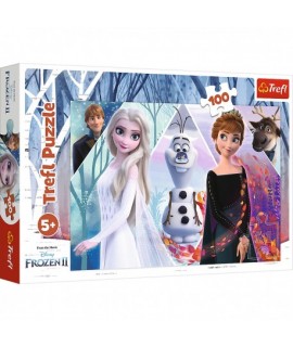Detské Puzzle - Frozen II. 100 ks
