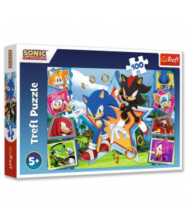 Detské puzzle - Ježko Sonic - 100ks